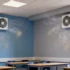 London’s Educational Air Quality Initiative Sets New Standard for Urban Health Protection