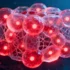 Lab-Grown Embryo Models Produce Functional Blood Cells in Scientific Breakthrough