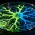Revolutionizing Biomedical Research: The Shift Towards Human-Relevant Testing Methods