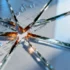 Dissenting Creditors Challenge Ardagh's Landmark $10 Billion - Major Packaging Group Faces Creditor Resistance Over Debt-for-