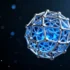 Breakthrough Core-Shell Nanomaterial Delivers Unprecedented - Revolutionary Nano-Adsorbent Shows 94% Efficiency in Toxic Gas