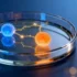 Gene Therapy's Cardiac Renaissance: New Hope for Failing Hea - The Persistent Challenge of Heart Failure Despite decades of m