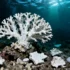 Beyond Climate: How Socio-Economic Factors Are Creating "Hid - Rethinking Drought: When Water Scarcity Isn't About Weather W