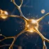 New Genetic Discovery Reveals UNC13A's Critical Role in Brai - Groundbreaking Research Identifies UNC13A Gene Mutations in Ne