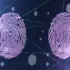 AI-Generated Malware Is Mostly Hype, Google Finds