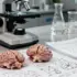 Cyclone Gene-Switch Technology Opens Safer Biomedical Research Frontier
