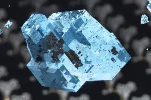 How Mejuri's Married Founders Use Bezos' "Disagree and Commit" - Professional coverage