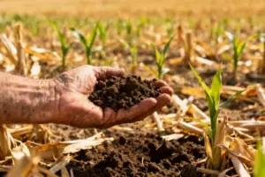 The AI Valuation Spurt Is Getting Painful - Professional coverage